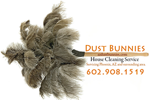Arizona House Cleaning Service Dustbunnies